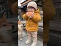 あっ！！www #ai #柴犬 #shorts