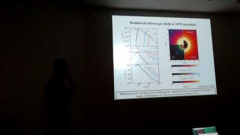 Tiago Costa: Launching galactic outflows with AGN radiation pressure