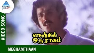 Nenjil Oru Raagam Movie Songs | Meghamthaan Video Song | Rajeev | Saritha | Thiagarajan | T Rajendar