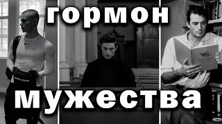 Тестостерон - главный мужской гормон | Как поднять уровень тестостерона