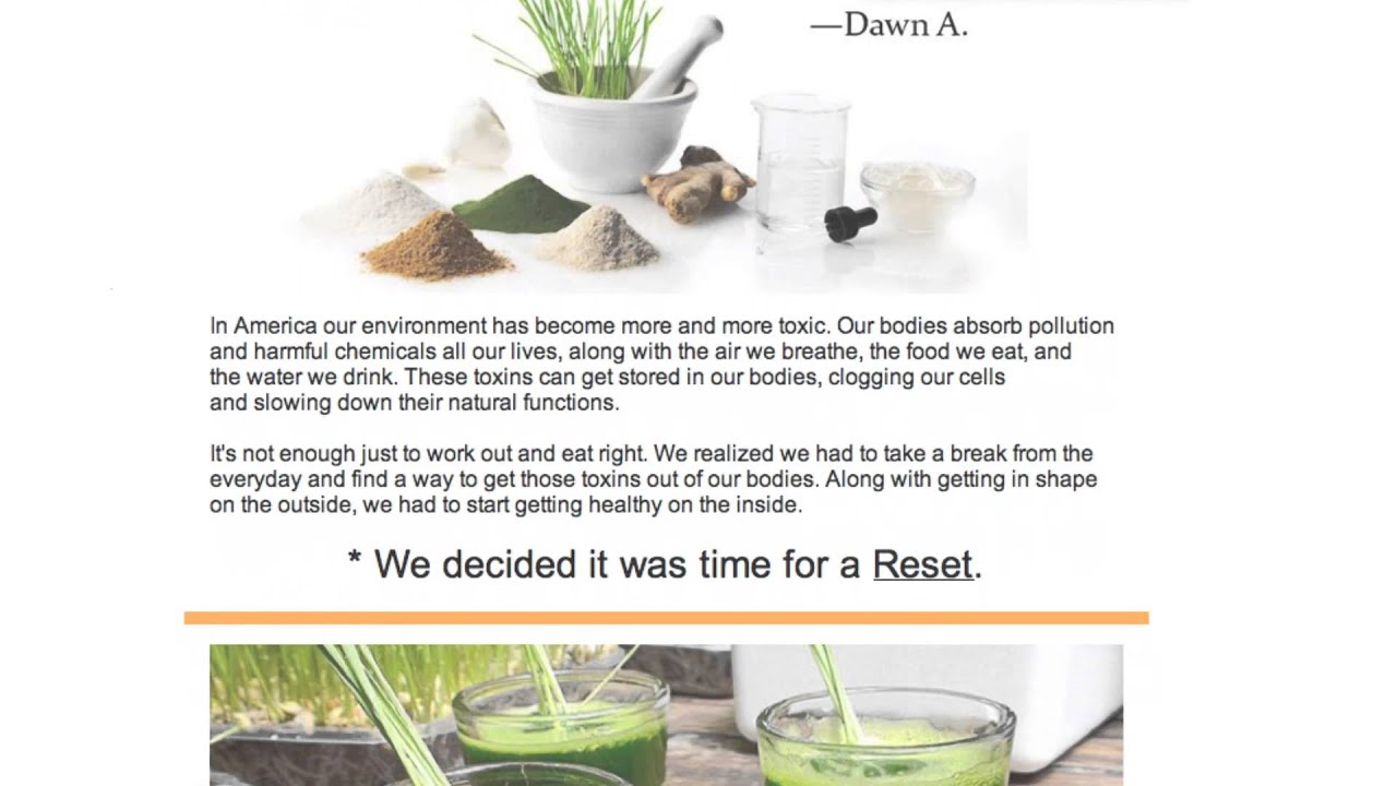 Good Monster Case Study | Syracuse | Email Marketing & Social Media Optimization