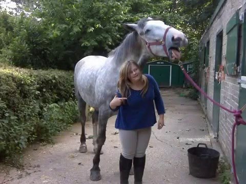 my-horse-doing-tricks-:)