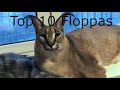 Top 10 floppas