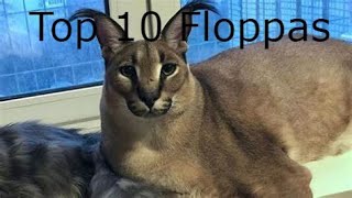 Top 10 Floppas