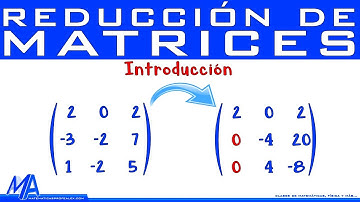Reducción de matrices | Introducción | Gauss y Gauss Jordan