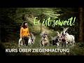 ONLINEKURS ZIEGENHALTUNG - Es ist endlich soweit! 🥳