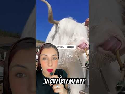 para que sirve el bono de casino en 1win, como retirar bono de casino 1win,
