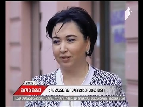 \"ქართულ ოცნებასა\" და ენმ-ში  კონსულტაციები გრძელდება