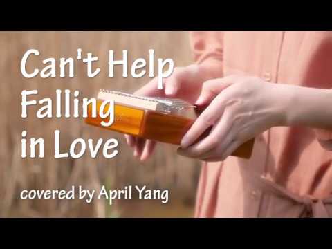 Can T Help Falling In Love Kalimba Cover Youtube Can T Help Falling In Love Kalimba Cover Youtube