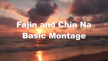 Fa jin and Chin na montage some brief basic techniques with Sifu Paul Nathan