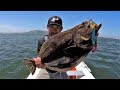 Catch and Cook on a Boat, ALONE!!!! California Halibut!