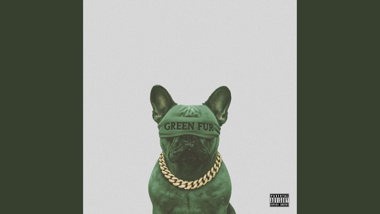 Watch PORTARA on YouTube Watch PORTARA on YouTube