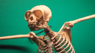 The Power Over Us Longer Demo Spooky Feel The Singer Recommended The Music Style