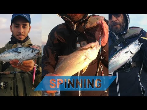 ricciola a spinning e tonnetti da riva - pesca a spinning con il JIG - ClipAngler