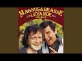 Verkmästar'n i magen