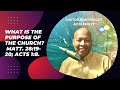 What is the purpose of the Church? Matt. 28:19-20; Acts 1:8.