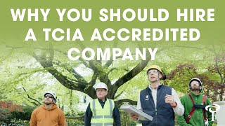 Why Should You Hire a TCIA Accredited Company? | The Tree Care Industry Association