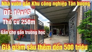 Tập 300 bán nhà vườn có 250m thổ cư, giá giảm thêm 500 triệu đường xe hơi, gần khu công tân hương