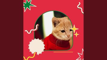 Pulsating Sleepy Cat