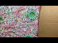Beginning of video