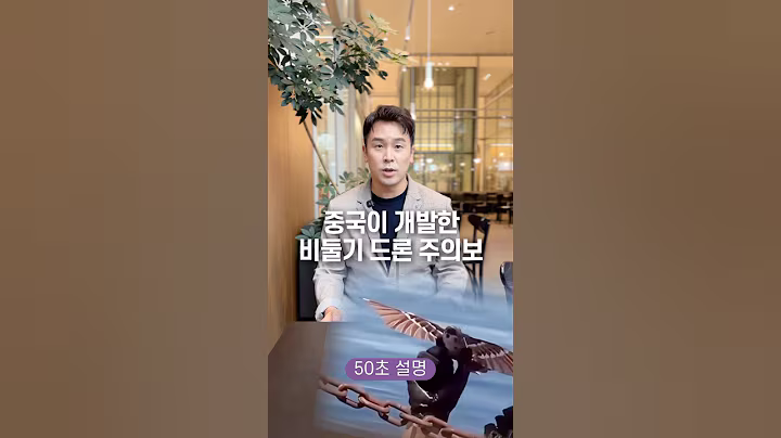 중국이 개발한 비둘기 드론 주의보, 50초 안에 설명하기