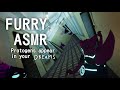 Furry asmr protogens appear in your dreams while you sleep asmr film and ambient sounds