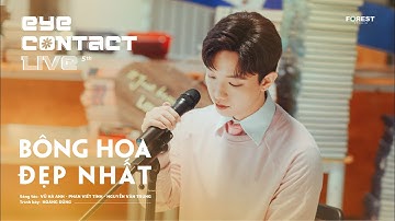 BÔNG HOA ĐẸP NHẤT - Hoàng Dũng | Eye Contact LIVE - 5th Project