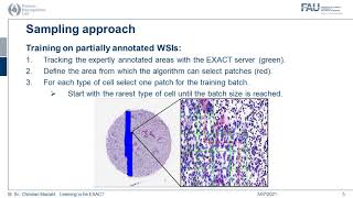 Cell Detection for Asthma on Partially Annotated Whole Slide Images: Learning to be EXACT