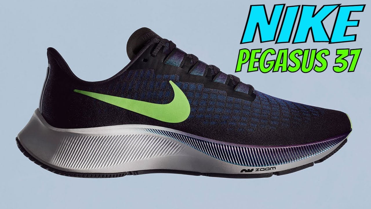 pegasus 37 junior