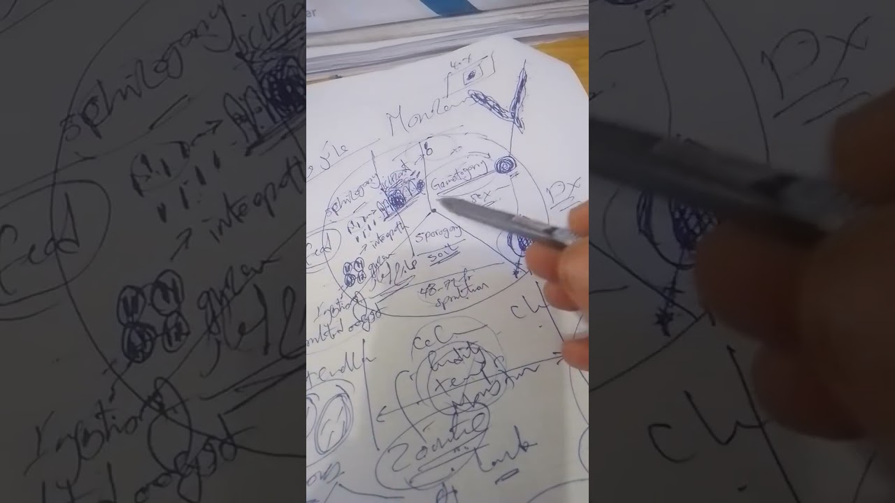 3- Diagnosis and control of Coccidiosis 