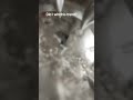 Water pouring trend