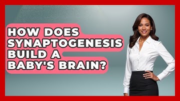 How Does Synaptogenesis Build A Baby