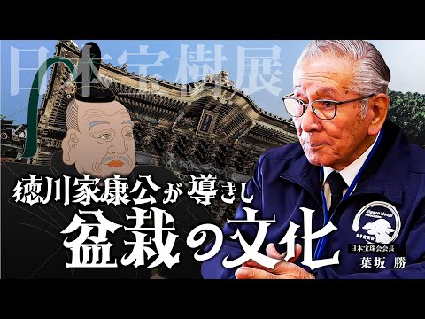 【北盆】日光東照宮 日本宝樹展とは〜生命に通じる日本の文化『盆栽』を世界に〜 #盆栽 #日本宝樹展 #日光東照宮 #江戸時代 #日本人の力 hqdefault
