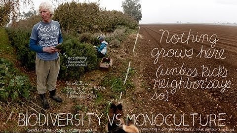 Unconventional Agriculture | The Lexicon of Sustainability | PBS Food