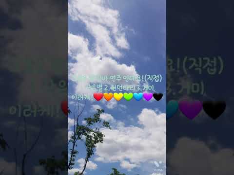 칼림바♡작은별,런던다리,거미