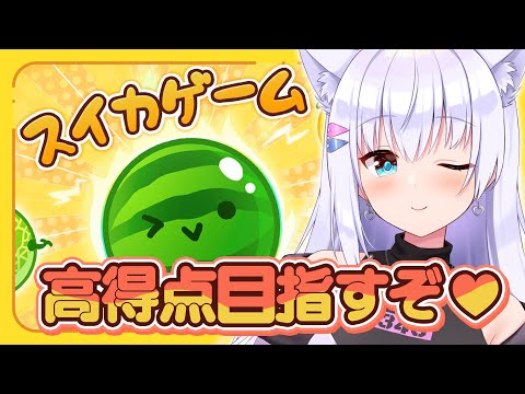 【スイカゲーム】高得点目指すぞ♥【#白雪みしろ／のりプロ所属】