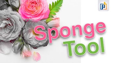 How to use Sponge Tool in photoshop | Sponge tool photoshop | Black and White and Colour Effect