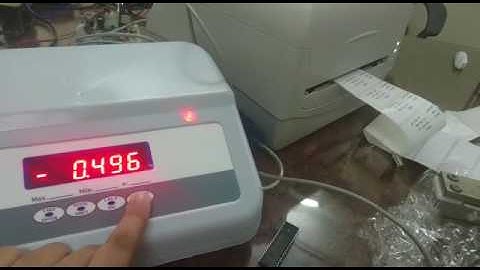 Weighing Scale With Lable Printer By Punit Instrument, Ahmedabad