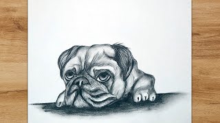 How to Draw a Pug Dog Step by Step | Cute Dog Drawing