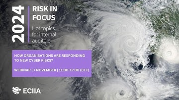 Webinar |  Risk in Focus 2024: how organisations are responding to new cyber risks