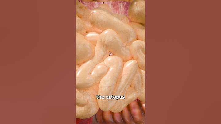 Swallowing An Octopus? 😨💥