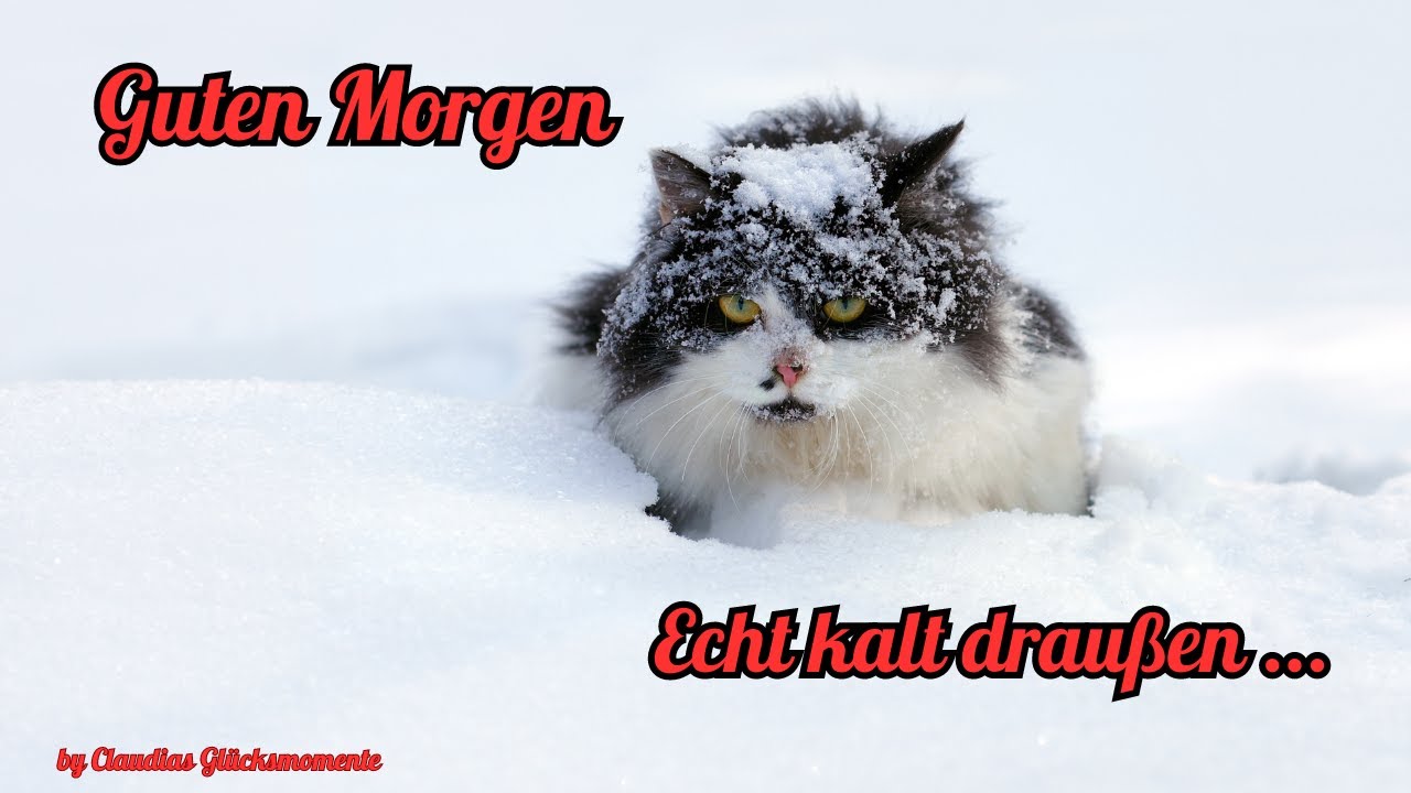 Guten Morgen Es Ist Kalt Draußen Guten Morgen - Echt kalt draußen - YouTube