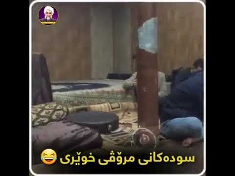 كيوت له م مه لايه بوه اليت ئينساني خيوري سودي هه يه تاكوتاي كيو بكره