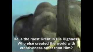 Nasheed Subhan'Allah