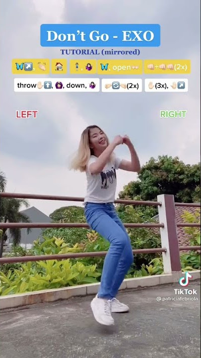 Don't Go-Exo Dance Tutorial