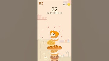 New Game! (Cat Bakery! All Level Gameplay Walkthrough For Android And iOS)