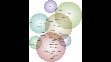 Enhance Your Qualitative Analysis, Illuminate Your Academic Legacy