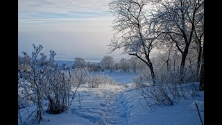 Душевная песня под гармонь По тропинке,снежком запорошенной