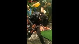 Nothing Hero - Tanahku Berganti (Live) Bukber Rawk Genkset Family