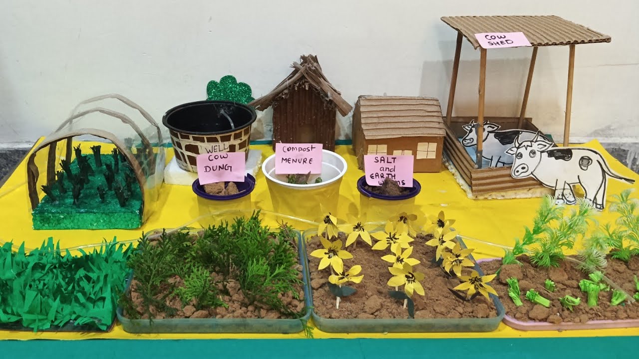 Organic farming model for school project \Farming model making \Agriculture project ||